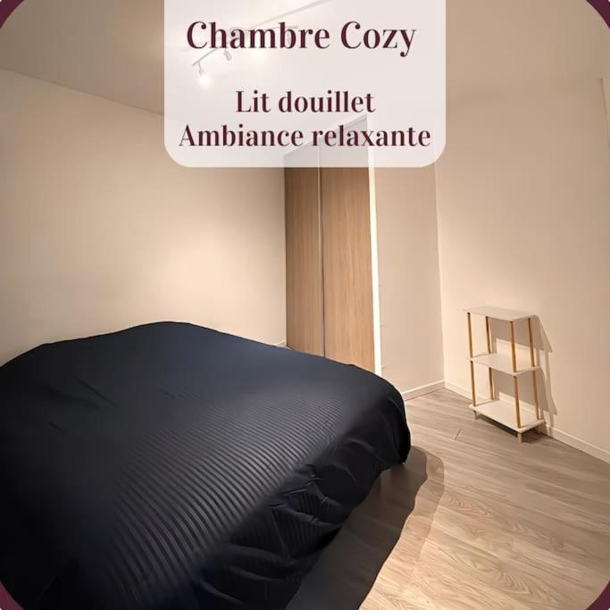 Appartement 2 Pieces Rdc En Duplex Vue Cour Parking Gratuit A 20Metres Roanne Extérieur photo
