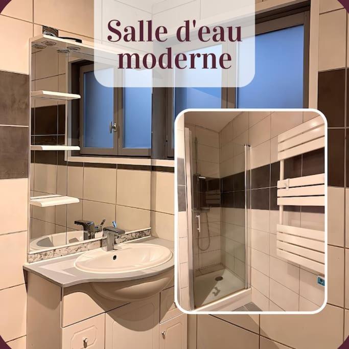 Appartement 2 Pieces Rdc En Duplex Vue Cour Parking Gratuit A 20Metres Roanne Extérieur photo